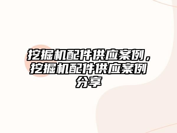 挖掘機配件供應案例，挖掘機配件供應案例分享