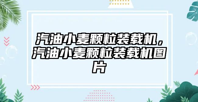 汽油小麥顆粒裝載機，汽油小麥顆粒裝載機圖片