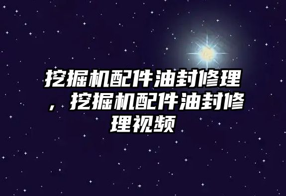 挖掘機(jī)配件油封修理，挖掘機(jī)配件油封修理視頻