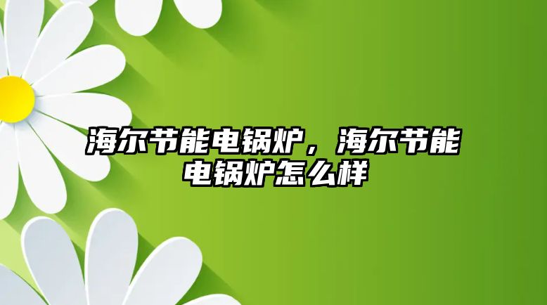 海爾節(jié)能電鍋爐，海爾節(jié)能電鍋爐怎么樣