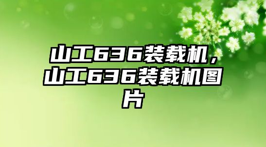 山工636裝載機(jī)，山工636裝載機(jī)圖片