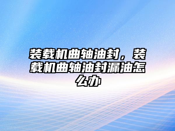 裝載機(jī)曲軸油封，裝載機(jī)曲軸油封漏油怎么辦