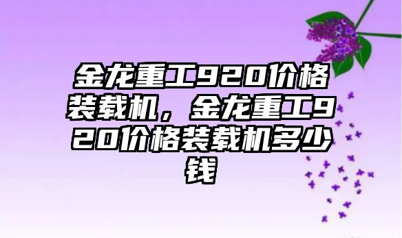 金龍重工920價(jià)格裝載機(jī)，金龍重工920價(jià)格裝載機(jī)多少錢(qián)