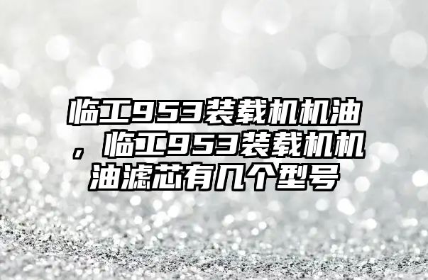 臨工953裝載機機油，臨工953裝載機機油濾芯有幾個型號