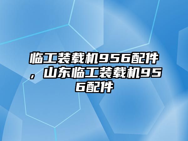 臨工裝載機(jī)956配件，山東臨工裝載機(jī)956配件