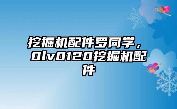 挖掘機配件羅同學(xué)，ⅴ0lv0120挖掘機配件