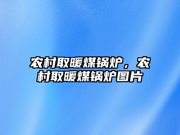 農(nóng)村取暖煤鍋爐，農(nóng)村取暖煤鍋爐圖片