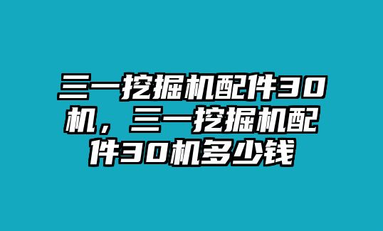 三一挖掘機(jī)配件30機(jī)，三一挖掘機(jī)配件30機(jī)多少錢