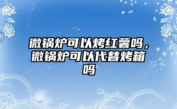 微鍋爐可以烤紅薯嗎，微鍋爐可以代替烤箱嗎