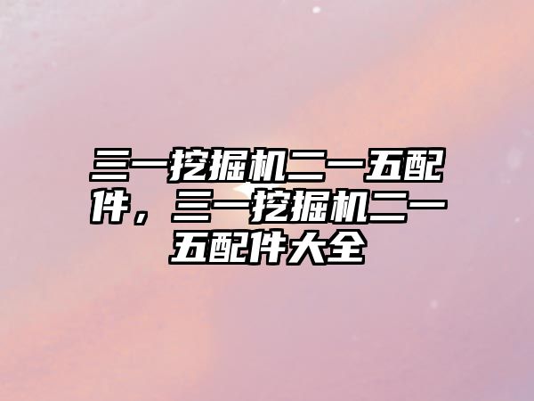 三一挖掘機二一五配件，三一挖掘機二一五配件大全