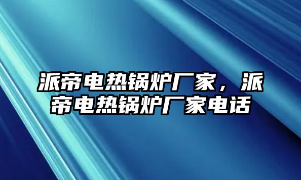 派帝電熱鍋爐廠家，派帝電熱鍋爐廠家電話