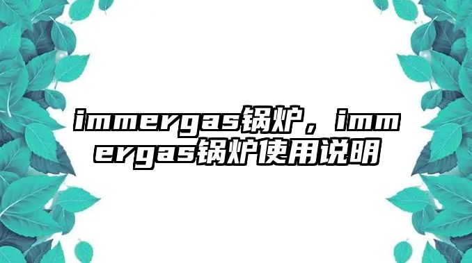 immergas鍋爐，immergas鍋爐使用說明