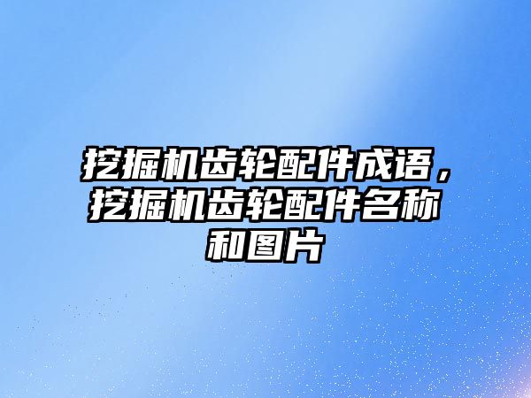 挖掘機齒輪配件成語，挖掘機齒輪配件名稱和圖片