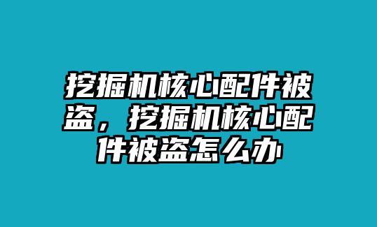 挖掘機核心配件被盜，挖掘機核心配件被盜怎么辦