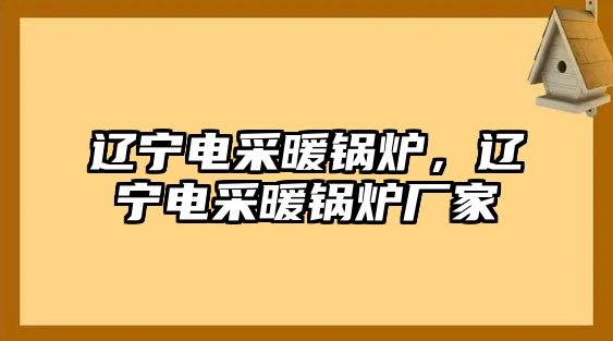 遼寧電采暖鍋爐，遼寧電采暖鍋爐廠家