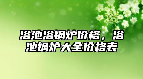 浴池浴鍋爐價格，浴池鍋爐大全價格表