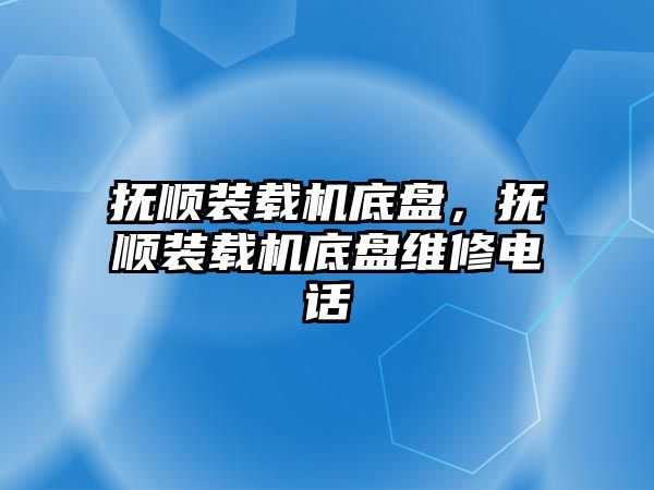 撫順裝載機底盤，撫順裝載機底盤維修電話