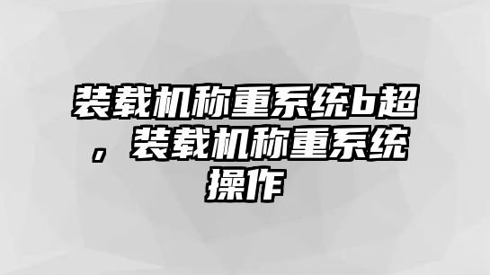 裝載機(jī)稱重系統(tǒng)b超，裝載機(jī)稱重系統(tǒng)操作