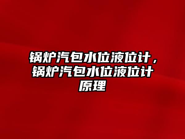 鍋爐汽包水位液位計，鍋爐汽包水位液位計原理