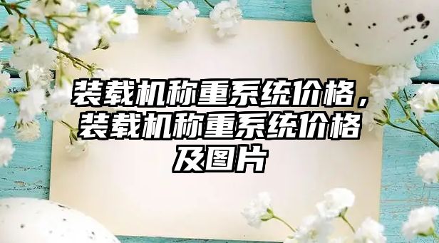 裝載機稱重系統(tǒng)價格，裝載機稱重系統(tǒng)價格及圖片