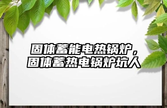 固體蓄能電熱鍋爐，固體蓄熱電鍋爐坑人