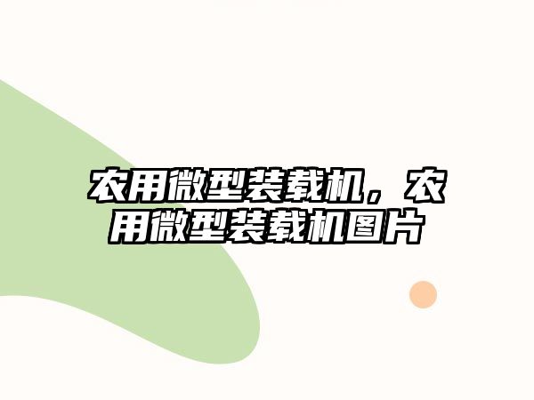 農(nóng)用微型裝載機，農(nóng)用微型裝載機圖片