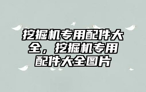 挖掘機專用配件大全，挖掘機專用配件大全圖片