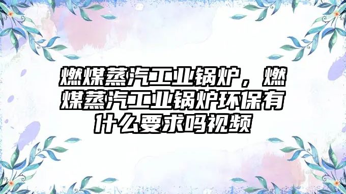 燃煤蒸汽工業(yè)鍋爐，燃煤蒸汽工業(yè)鍋爐環(huán)保有什么要求嗎視頻