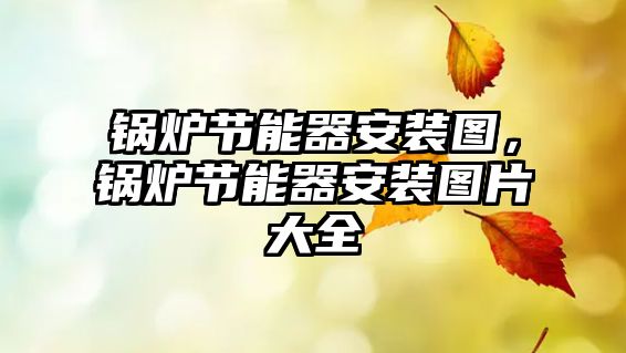 鍋爐節(jié)能器安裝圖，鍋爐節(jié)能器安裝圖片大全