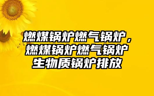 燃煤鍋爐燃?xì)忮仩t，燃煤鍋爐燃?xì)忮仩t生物質(zhì)鍋爐排放