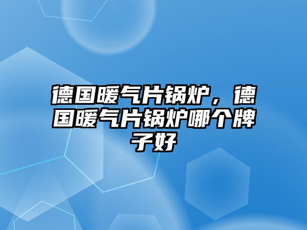 德國(guó)暖氣片鍋爐，德國(guó)暖氣片鍋爐哪個(gè)牌子好