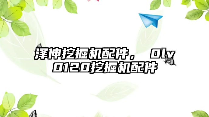 澤伸挖掘機配件，ⅴ0lv0120挖掘機配件