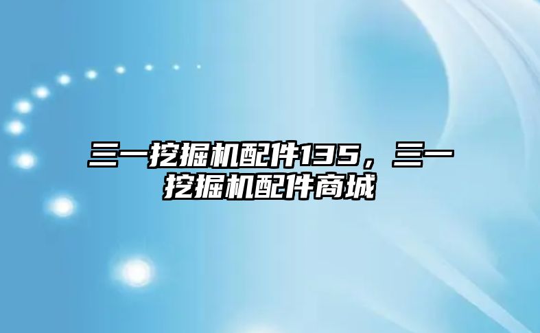 三一挖掘機配件135，三一挖掘機配件商城