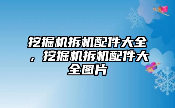 挖掘機拆機配件大全，挖掘機拆機配件大全圖片