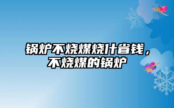 鍋爐不燒煤燒什省錢，不燒煤的鍋爐