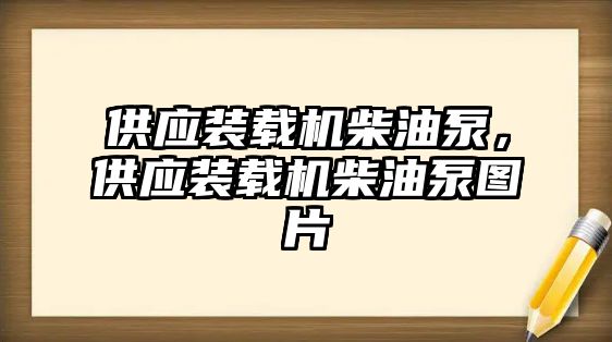 供應(yīng)裝載機(jī)柴油泵，供應(yīng)裝載機(jī)柴油泵圖片