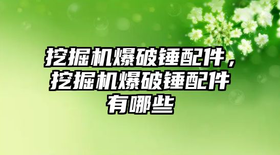 挖掘機爆破錘配件，挖掘機爆破錘配件有哪些