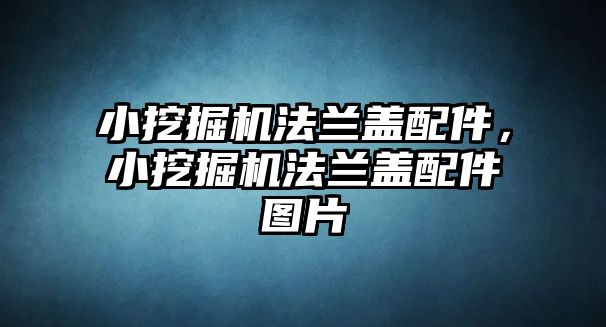 小挖掘機法蘭蓋配件，小挖掘機法蘭蓋配件圖片