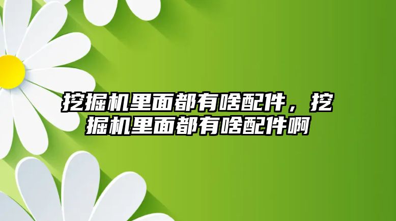 挖掘機里面都有啥配件，挖掘機里面都有啥配件啊