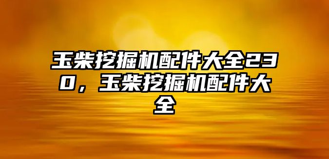 玉柴挖掘機配件大全230，玉柴挖掘機配件大全