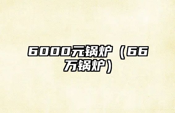 6000元鍋爐（66萬(wàn)鍋爐）