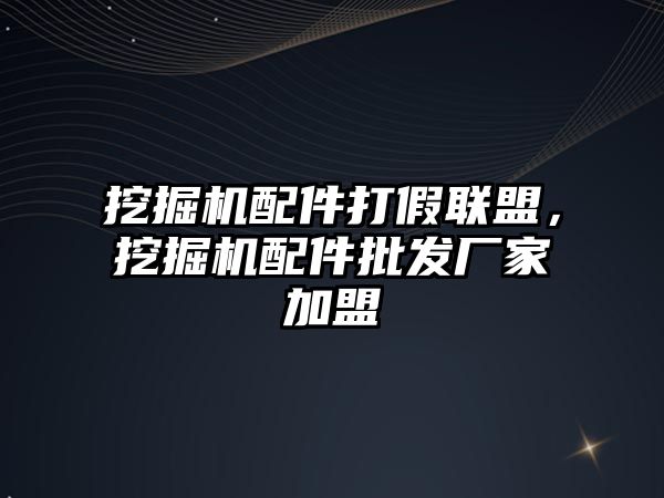 挖掘機配件打假聯(lián)盟，挖掘機配件批發(fā)廠家加盟