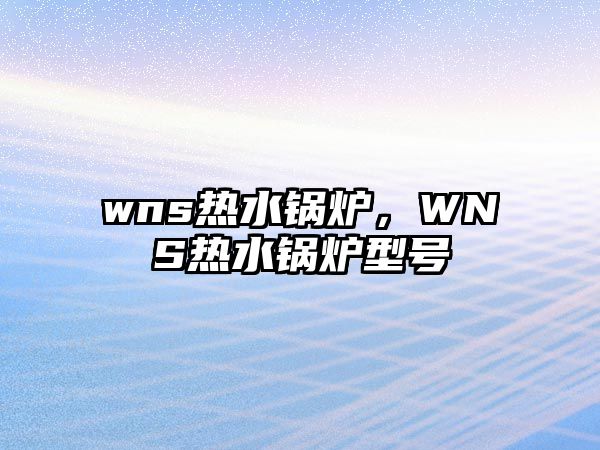 wns熱水鍋爐，WNS熱水鍋爐型號