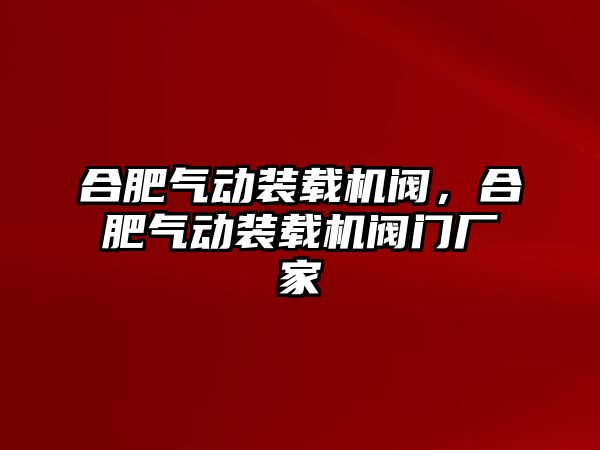 合肥氣動裝載機(jī)閥，合肥氣動裝載機(jī)閥門廠家