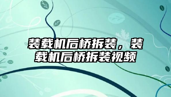 裝載機后橋拆裝，裝載機后橋拆裝視頻