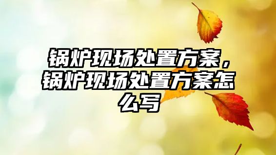 鍋爐現(xiàn)場處置方案，鍋爐現(xiàn)場處置方案怎么寫