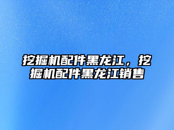 挖掘機(jī)配件黑龍江，挖掘機(jī)配件黑龍江銷售