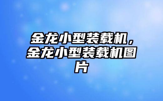 金龍小型裝載機(jī)，金龍小型裝載機(jī)圖片