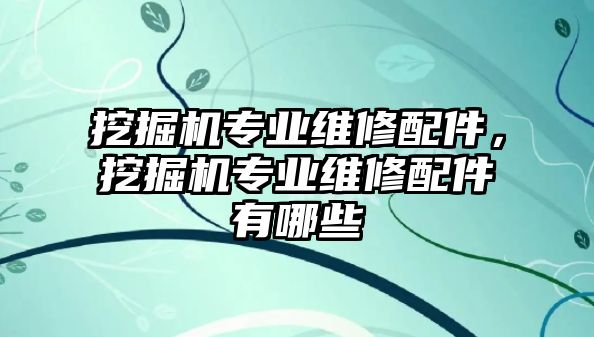 挖掘機專業(yè)維修配件，挖掘機專業(yè)維修配件有哪些