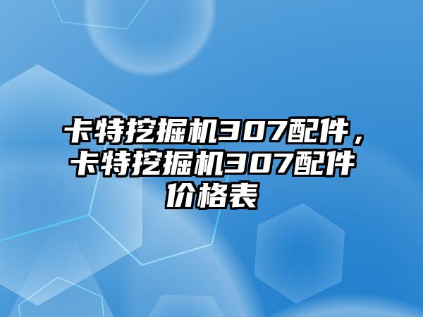 卡特挖掘機307配件，卡特挖掘機307配件價格表